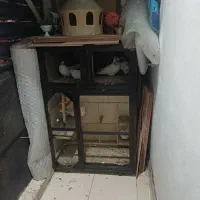 جفت کن.گنجه.