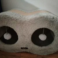 جای خواب گربه و سگ