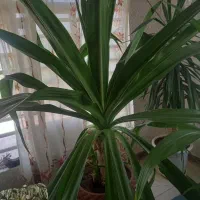 امتیاز واحدریسی بلوارهجرت