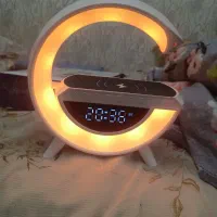 اسپیکر وایرلس دیجیتالی نوهست