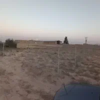 زمین باغی گاوخانه