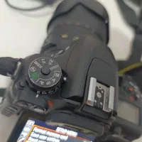 دوربین عکاسی Nikon d7500 قیمت مناسب|دوربین عکاسی و فیلمبرداری|بندرعباس, |دیوار