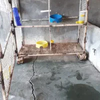 قفس پرندگان زینتی مرغ جوجه چهار خونه