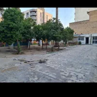 زمین ۲۵۰ متری سر دونبش تجاری مسکونی پاسارگاد