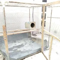 قفس مرغ و پرنده