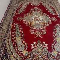 قالی در حد نو ۶ متری
