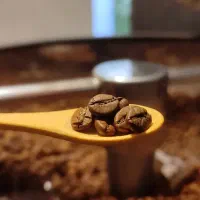 فروش قهوه|خوردنی و آشامیدنی|سراوان, |دیوار