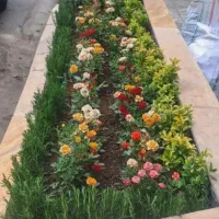 خدمات باغبانی باغچه کاری گل کاری تعویض خاک هرس