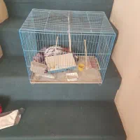 قفس با وسیله اش