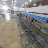 سیب نیمه اماده اقساط