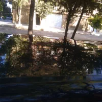 آردی 83|خودرو سواری و وانت|کرمانشاه, |دیوار