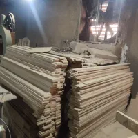 نوپان پانیز