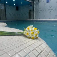 استخر جدید شیراز فیت