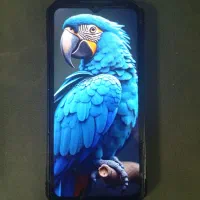 گوشی دوجی doogee s100|موبایل|تهران, شهرک استقلال|دیوار