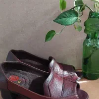 کیف و کفش چرم و معمولی|کیف، کفش، کمربند|رشت, فلسطین|دیوار