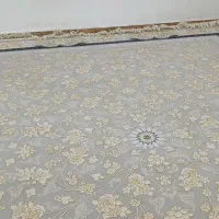 فرش 12متری|فرش|اندیمشک, |دیوار