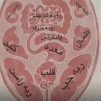 علاقمندان به  طب سنتی ، مزاج شناسی ، زبان شناسی