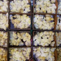 جوجه گوشتی نژاد راس|حیوانات مزرعه|لاهیجان, کوی خزر|دیوار