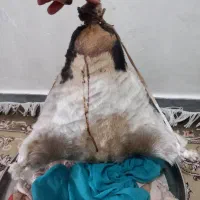 هیزه نو|ظروف نگهدارنده، پلاستیکی، یک‌بارمصرف|خرم‌آباد, |دیوار