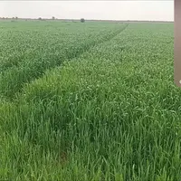 کارت بنزین گم شده بنام حسن آروش با ***********تماس