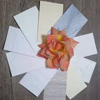 پاکت|کلکسیون سکه، تمبر، اسکناس|اردبیل, |دیوار