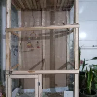 قفس بزرگ پرنده|لوازم جانبی حیوانات|شهریار, شهرک امیریه|دیوار