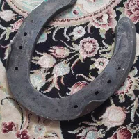 نعل اسب|اسب و تجهیزات اسب‌سواری|اهواز, شهرک دانشگاه|دیوار