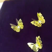 مخمل جیر. ونوس