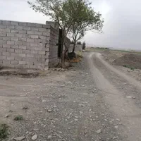 یک قطعه زمین یک طرف دیوار متراژ 456 متر در شاهنامه|فروش زمین و ملک کلنگی|مشهد, توس (بلوار توس)|دیوار
