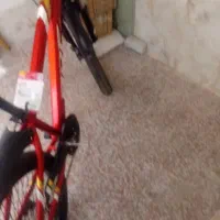 اسپورت|دوچرخه، اسکیت، اسکوتر|شیراز, شهرک مطهری|دیوار