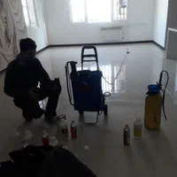 ساس کنه مایت سوسک پردیس بومهن رودهن مهراباد