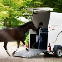 اسبکش های ۲ و ۴ اسبه ایمن پادوک|اسب و تجهیزات اسب‌سواری|تهران, چیتگر جنوبی|دیوار