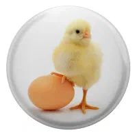 خر ..یدا تخم نطفه دار یا تخم بیار بزار دستگاه نصف