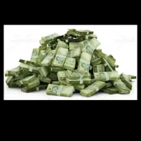 نیازمند ۳۰ ملیون وام