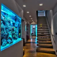 طراح دکوراسیون داخلی فضای سبز،اقساطی، نقاش ساختمان