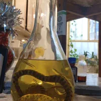 مار در الکل