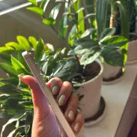 آیفون ۱۳ نرمال ۲۵۶ گیگ|موبایل|یزد, |دیوار