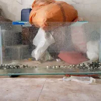 معاوضه|کنسول، بازی ویدئویی و آنلاین|زرند, |دیوار