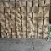 نیازمند نیروی جوان در شهرک سلیمی