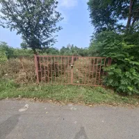 1000-متر-زمین-مسکونی-عرصه-و-عیان-رامسر