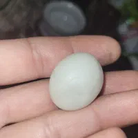 سنگ اوپال|کلکسیون اشیاء عتیقه|اسفراین, |دیوار