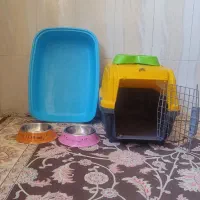 باکس حیوانات و دیگر وسائل مربوطه