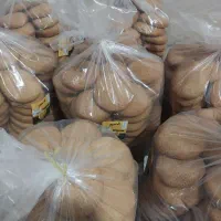 پخش و توزیع کلوچه زنجبیلی بیرجند|عمده‌فروشی|نیشابور, هفده شهریور|دیوار