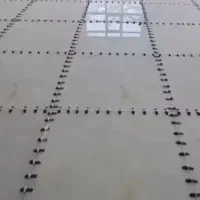 اجرا سرکاری و سرامیک|خدمات پیشه و مهارت|سمنان, |دیوار