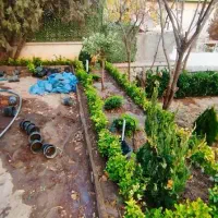 باغبانی باغچه کاری تعویض خاک گلدان در محل