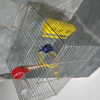 قفس سهره