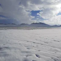 زمین با مجوز گلخانه|فروش دفتر صنعتی، کشاورزی، تجاری|تیران, |دیوار