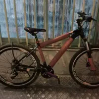 دوچرخه درحدنوع