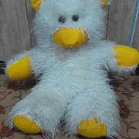خرس