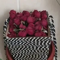 حدود ۲۰ عدد سبد خالی گل از سایز گوچک تا بزرگ|صنایع دستی و سایر لوازم تزئینی|تهران, شهرک غرب|دیوار